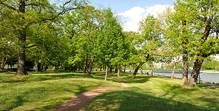 Eingeschlossen von Rhein und Luitpoldhafen schmiegt sich der Stadtpark an die Ufer des Flusses.