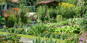 Kleingärten bieten Erholung mitten im Grünen. 