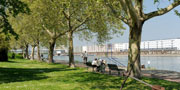 Fluss und Stadt erleben: entlang der Rheinuferpromenade ist das möglich. 