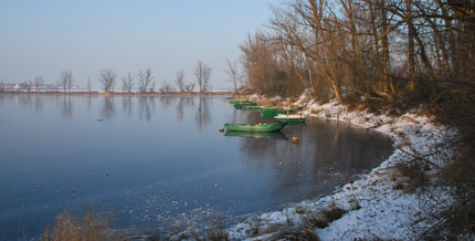 Malerisch: der Begütenweiher im Winter mit zugefrorener Wasserfläche.
