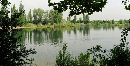 Als Angel- und Badegewässer besitzt der Willersinnweiher eine große Bedeutung für die Naherholung und die Freizeitnutzung. 