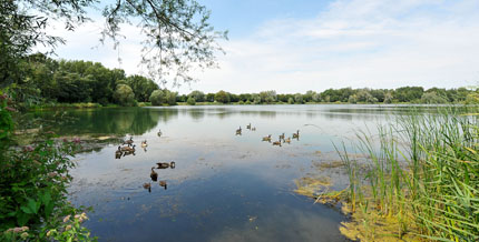 Freizeitspaß und Erholung am Wasser - Ludwigshafen hat hier viel zu bieten, wie zum Beispiel den Jägerweiher.
