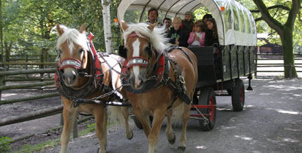 Zum traditionellen Familientag im September kann der Wildpark per Kutsche erkundet werden
