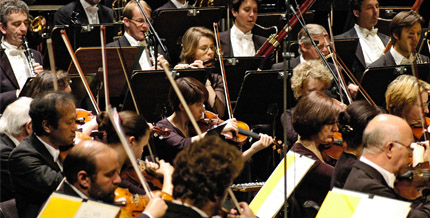 Musiker der Deutschen Staatsphilharmonie Rheinland-Pfalz bei einem Konzert